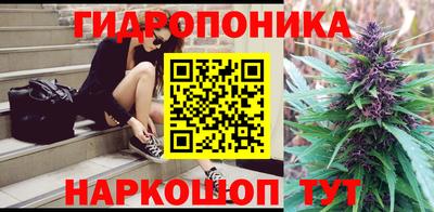 PSILOCYBIN Новозыбков