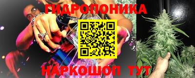 PSILOCYBIN Новозыбков