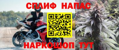 Альфа ПВП Новокубанск