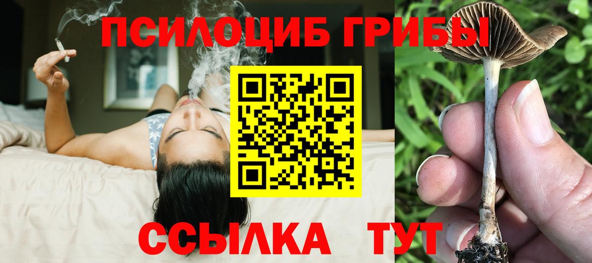 Псилоцибиновые грибы Magic Shrooms Ростов Великий